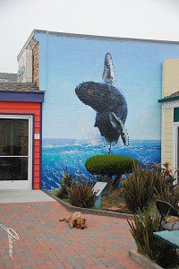 Murales a Morro Bay