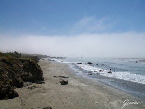 La spiaggia di San Simeon