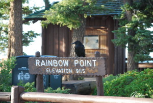 Il custode di Raimbow Point