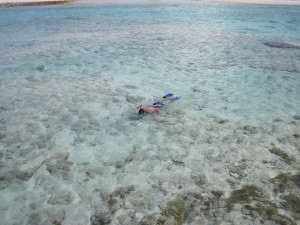 Snorkeling a Tikehau