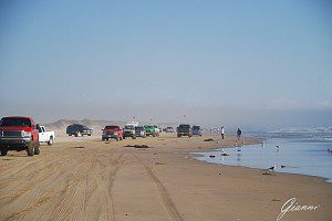 La spiaggia di Pismo Beach