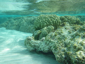 Scogli di corallo