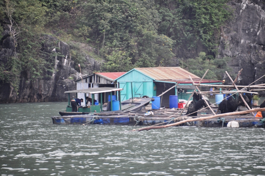 Villaggio galleggiante nella Baia di Lan Ha