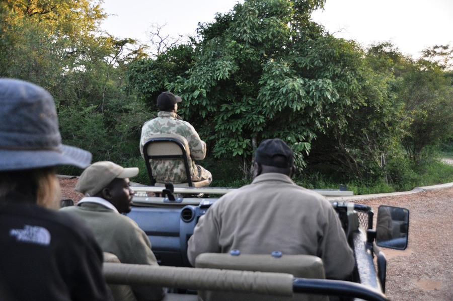 Safari nel Kruger National Park